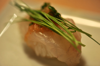 1123 saka3 11 DSC_7773.jpg